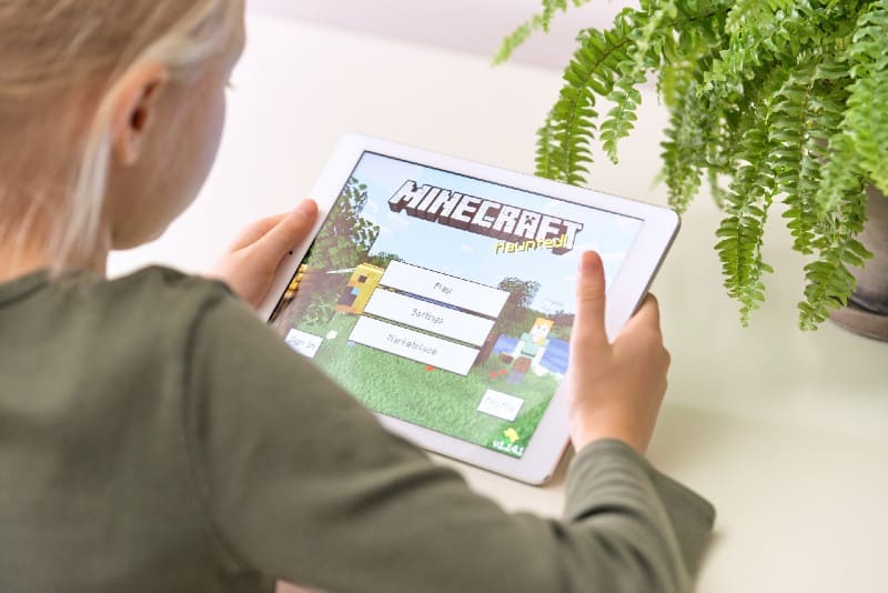 Minecraft is Educational for Young Children