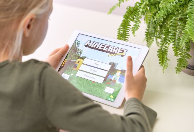 Minecraft stem activity