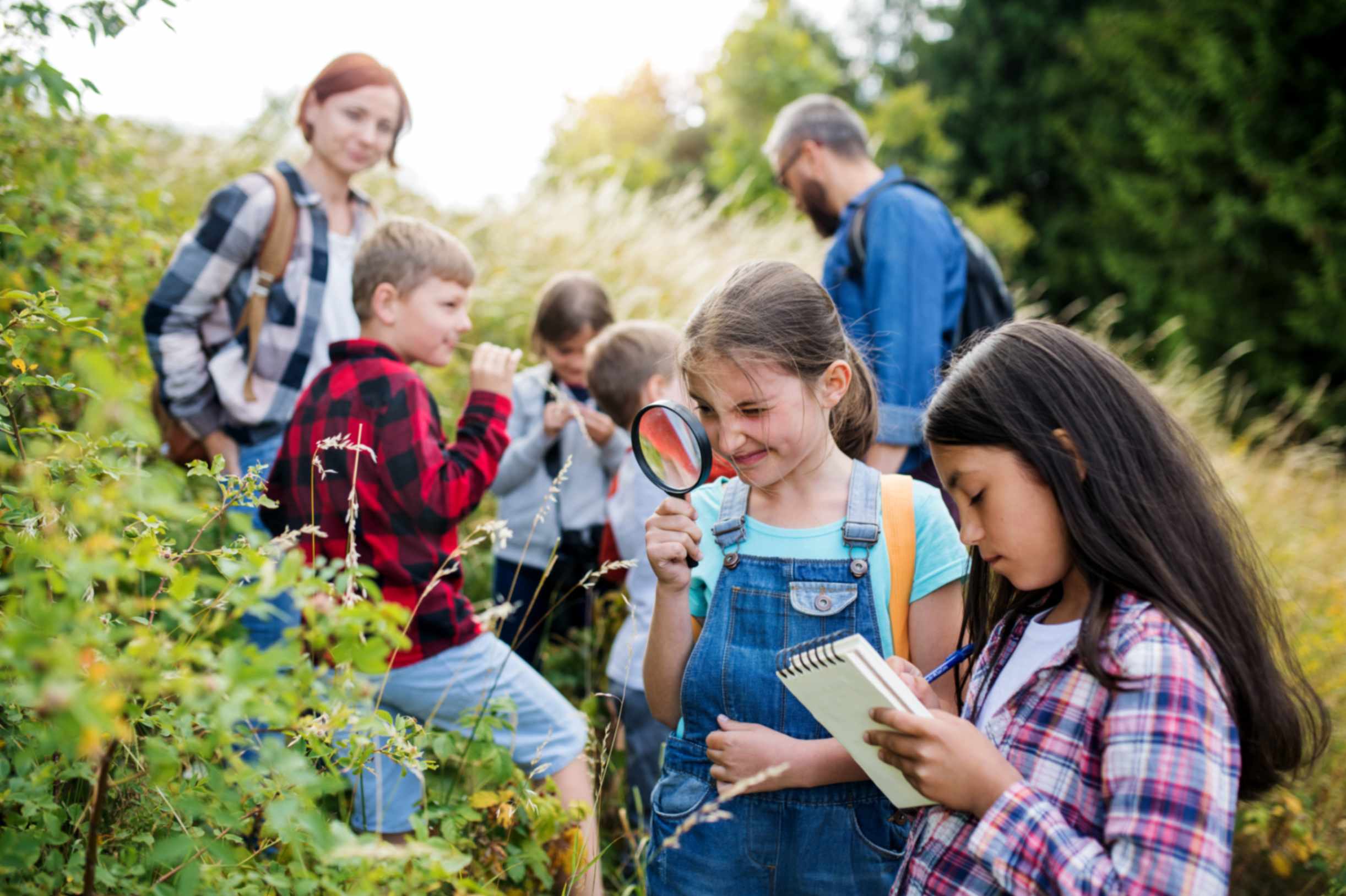 The Benefits of STEM Summer Camp for Kids | EFK 