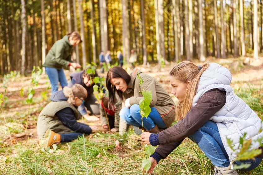 The Significance of Environmental Engineering